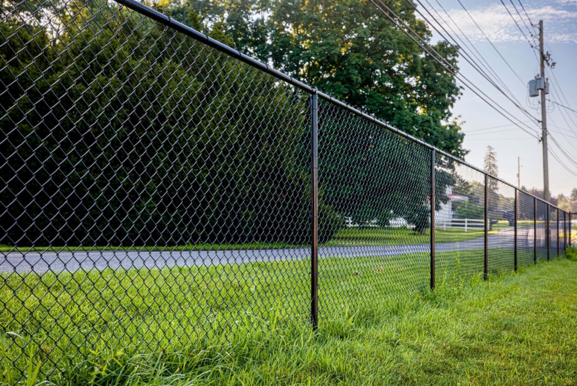 Chain-Link Fences in San Bruno, CA